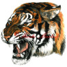 Samolepka tygr