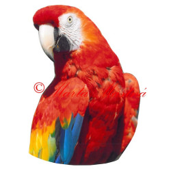 Samolepka papoušek ara