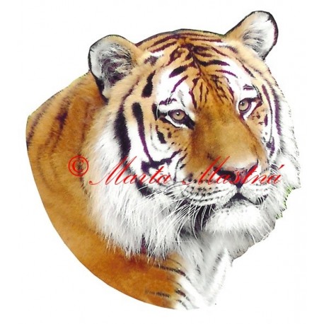 Samolepka tygr