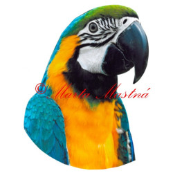 Samolepka papoušek ara
