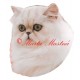 Samolepka kočka perská činčila