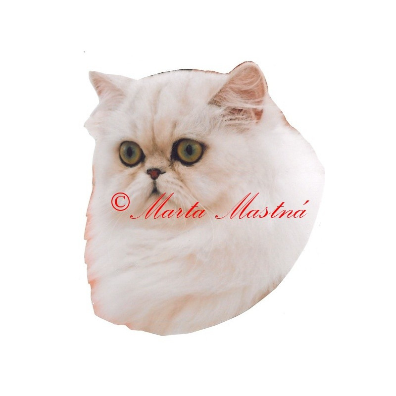 Samolepka kočka perská činčila
