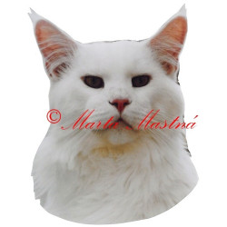 Samolepka kočka mainská mývalí