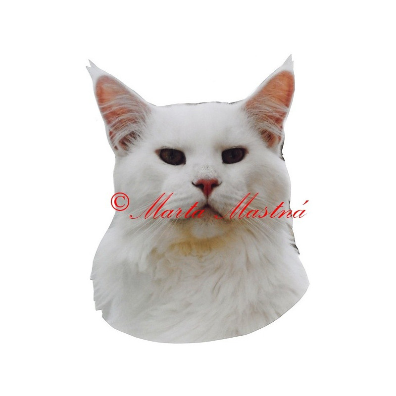 Samolepka kočka mainská mývalí