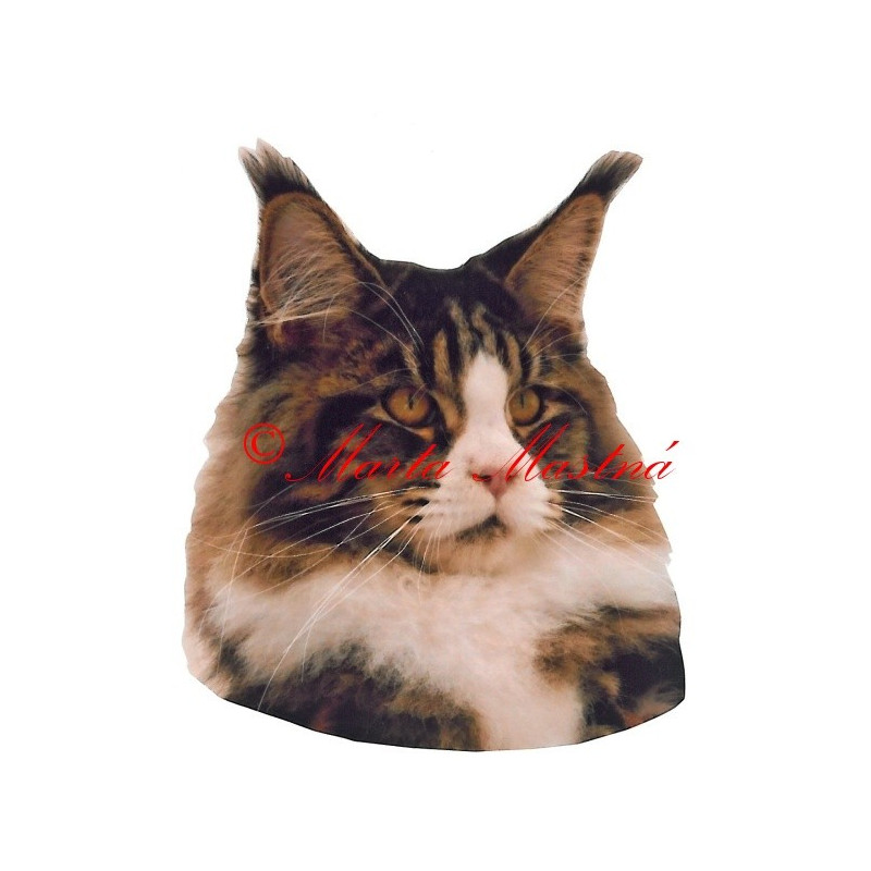 Samolepka kočka mainská mývalí