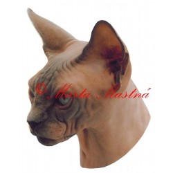 Samolepka kočka sphinx