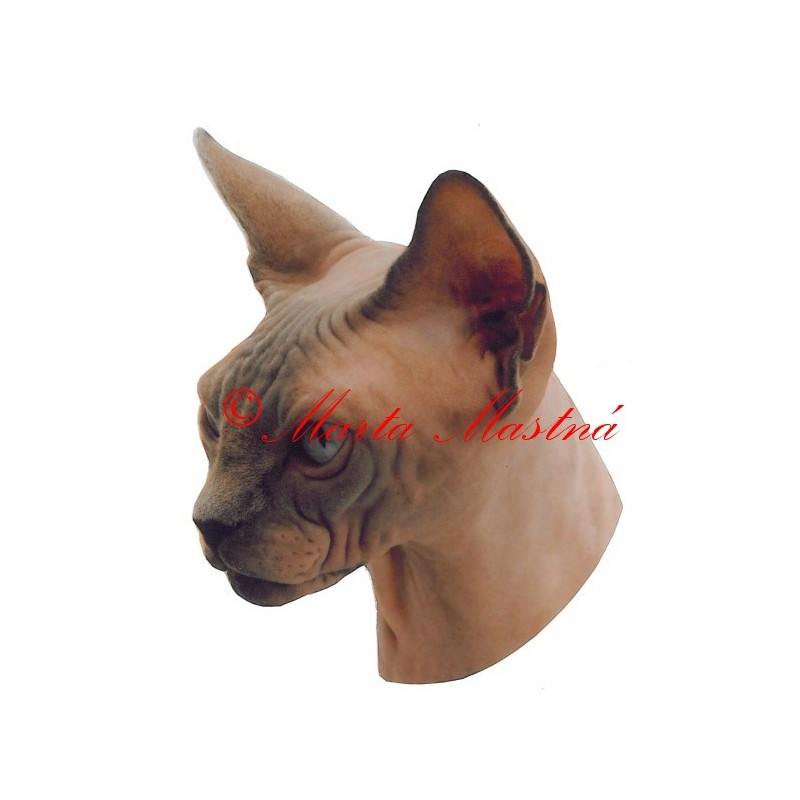 Samolepka kočka sphinx