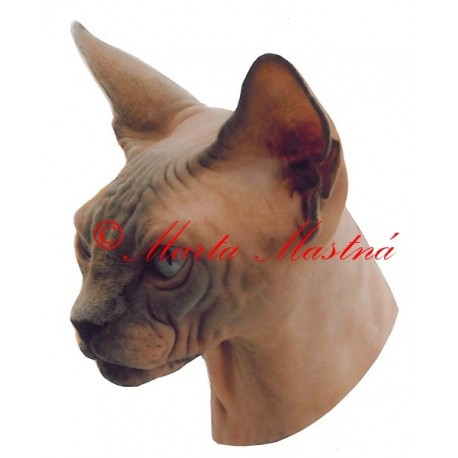 Samolepka kočka sphinx