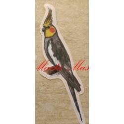 Samolepka korela, papoušek - archiv