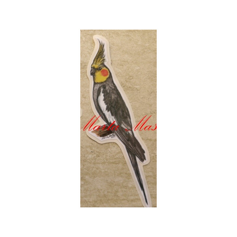 Samolepka papoušek korela