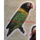 Samolepka papoušek agapornis