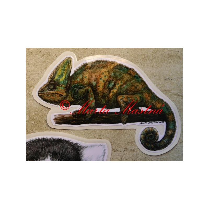 Samolepka chameleon