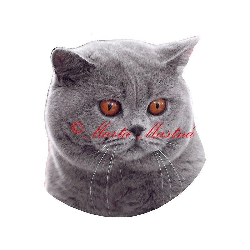 Samolepka kočka britská modrá