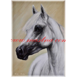 Autorský tisk arabský kůň