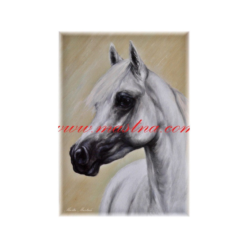 Autorský tisk arabský kůň