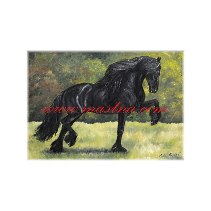 Autorský tisk frís