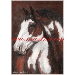 Obraz paint horse, koně, olejomalba - tisk