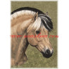 Autorský tisk fjordský kůň