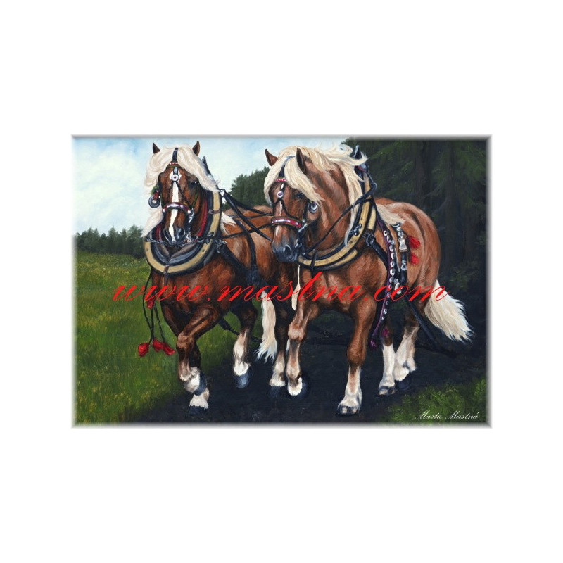 Autorský tisk chladnokrevní hřebci, českomoravský belgik