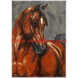 Autorský tisk arabský plnokrevník