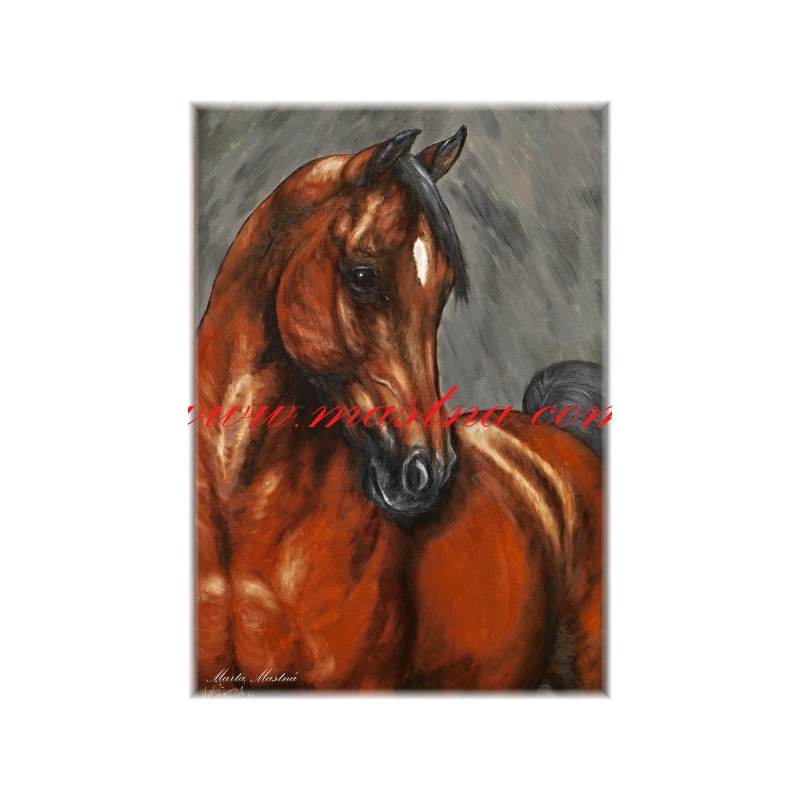 Autorský tisk arabský plnokrevník