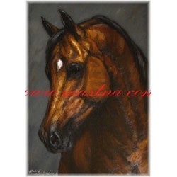Obraz arabský kůň, olejomalba - tisk