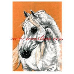 Autorský tisk arabský kůň