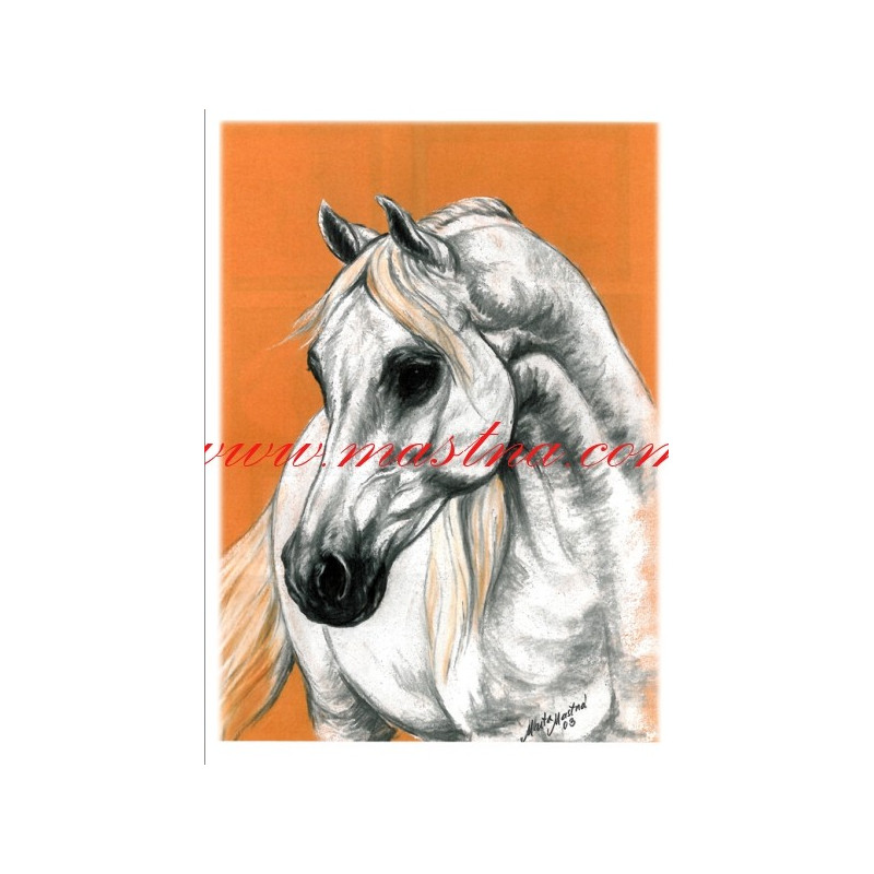 Autorský tisk arabský kůň