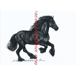 Obraz fríský kůň, koně, perokresba - tisk