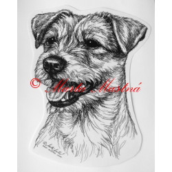 Parson Russel teriér