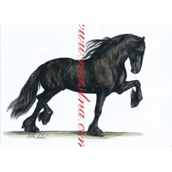 Autorský tisk fríský kůň