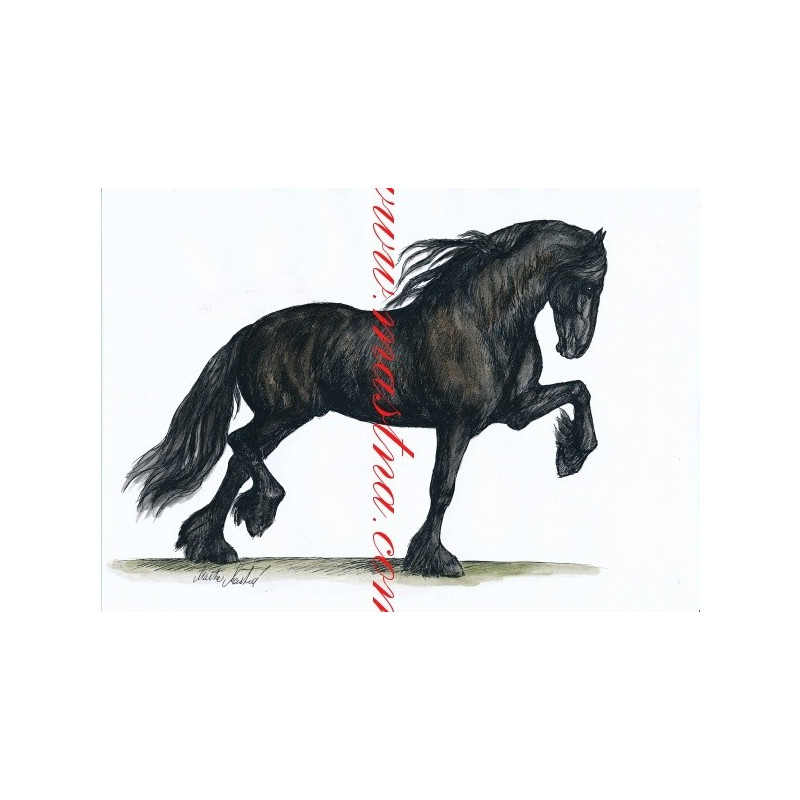 Autorský tisk fríský kůň