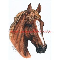 Obraz kůň, koně, perokresba - tisk