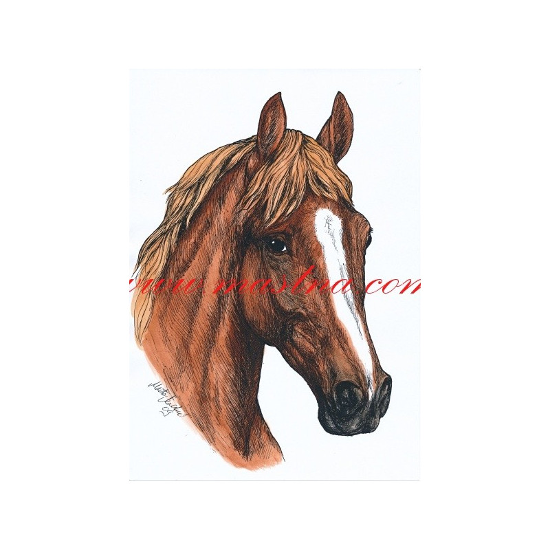 Autorský tisk kůň