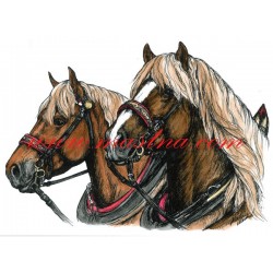 Obraz českomoravský belgik, koně, perokresba - tisk