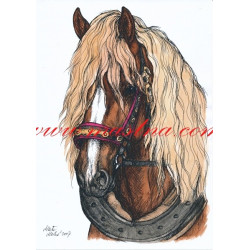 Autorský tisk českomoravský belgik