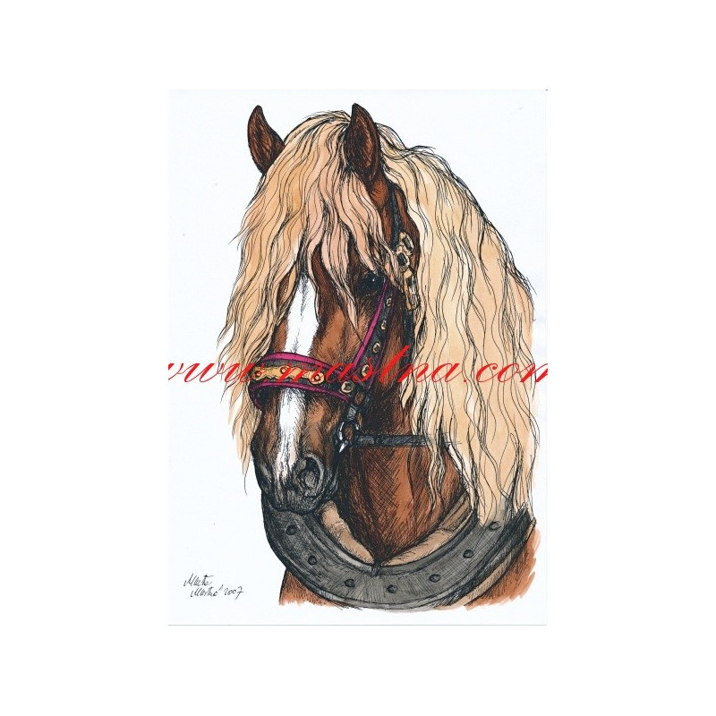 Autorský tisk českomoravský belgik