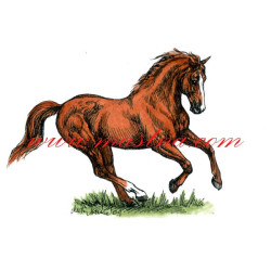 Autorský tisk teplokrevník