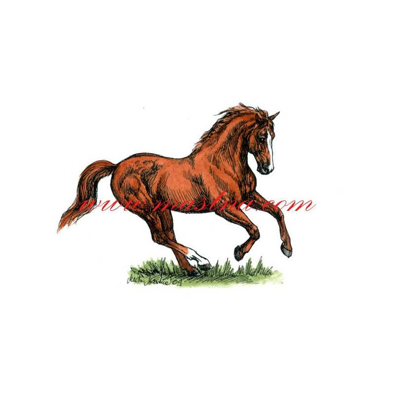 Autorský tisk teplokrevník