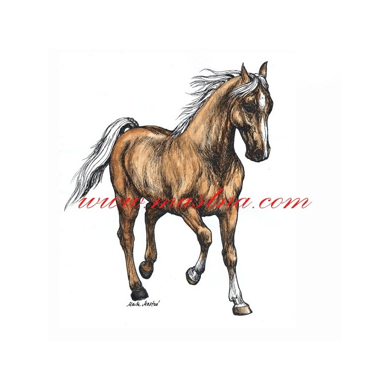 Autorský tisk kůň isabela, Kinský