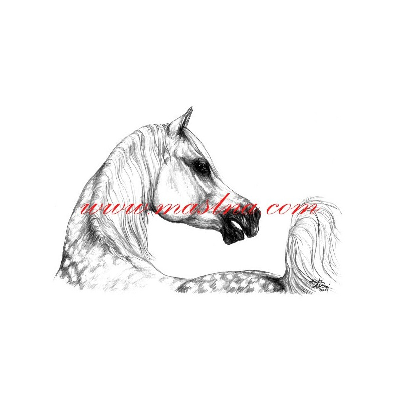 Autorský tisk arabský plnokrevník