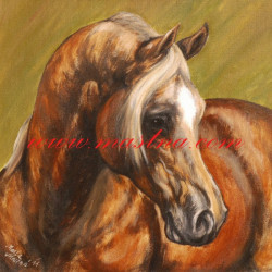 Autorský tisk arabský plnokrevník