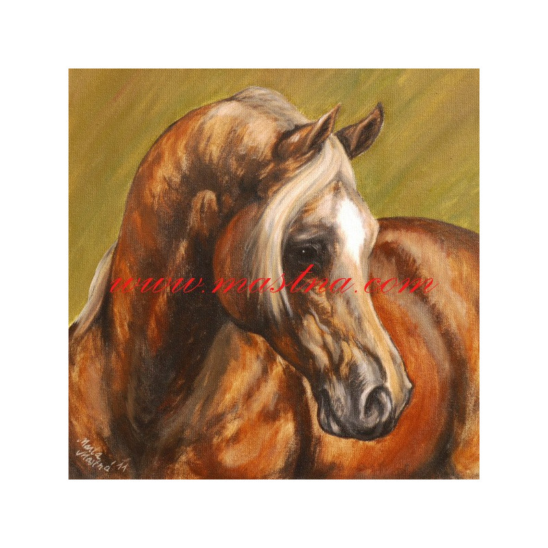 Autorský tisk arabský plnokrevník