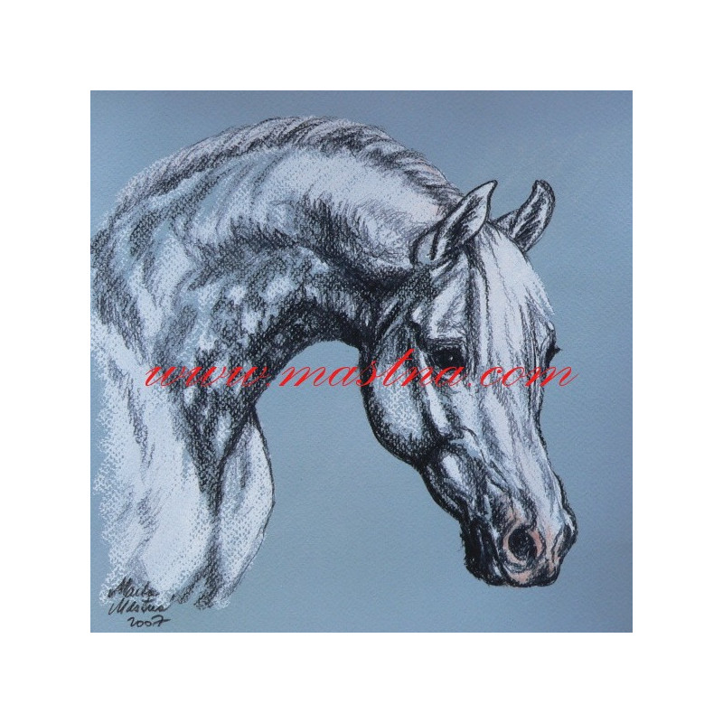 Autorský tisk arabský plnokrevník