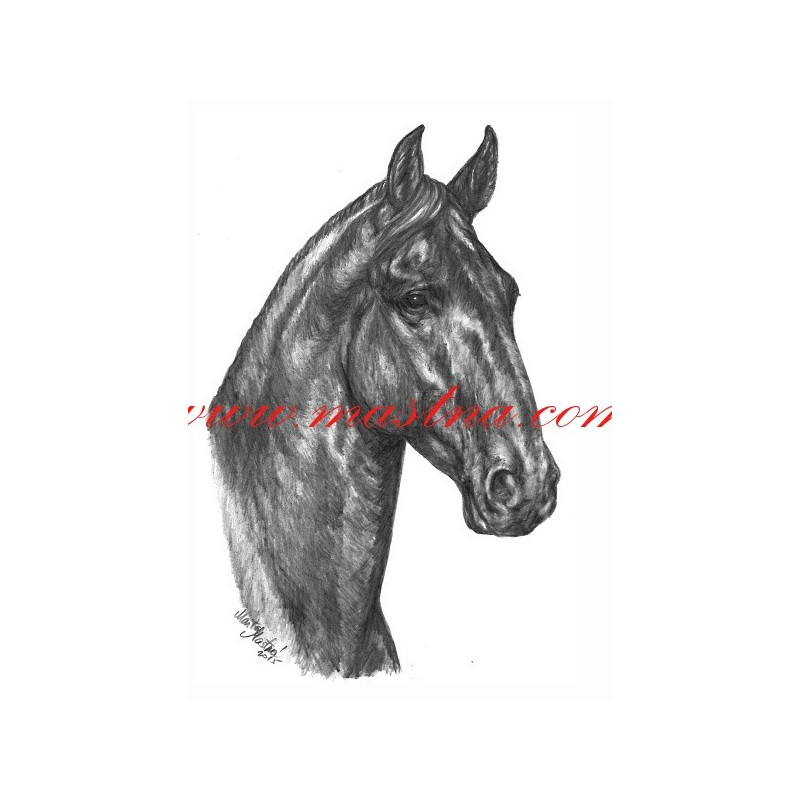 Autorský tisk kladrubský vraník