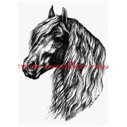 Autorský tisk fríský kůň