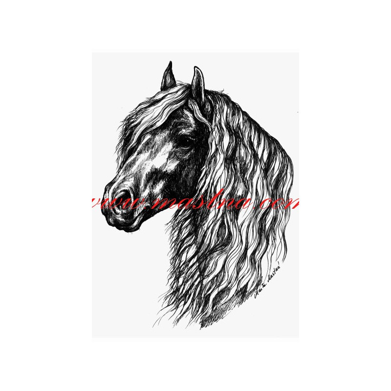 Autorský tisk fríský kůň