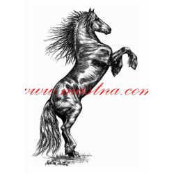 Autorský tisk fríský kůň