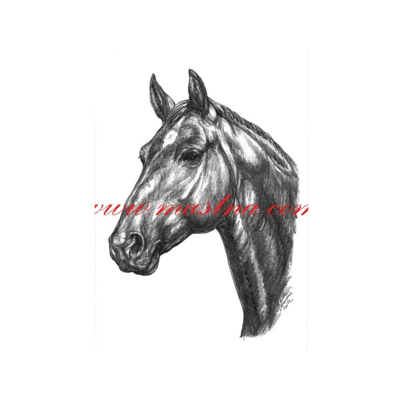 Autorský tisk teplokrevník