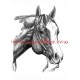 Autorský tisk paint horse, western